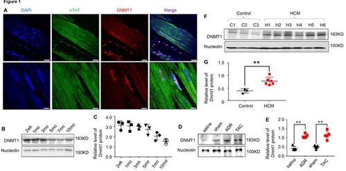 醫學研究與試驗發展 科技創新驅動健康未來