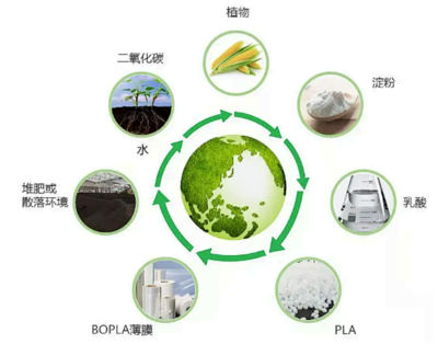 2025年,全球生物基聚合物產量預計達到近7百萬噸