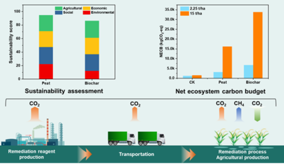 研究團隊基于全生命周期揭示炭基材料促進稻田重金屬污染可持續修復協同固碳