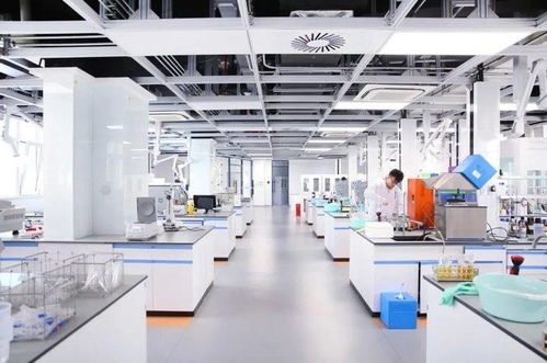 魯 力同行創佳績,再譜援藏新篇章 山東第九批援藏工作紀實