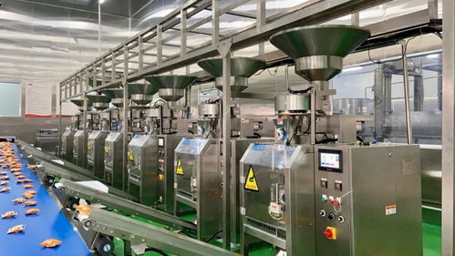 一片小鍋巴,他為何做的風(fēng)生水起,登上飛機(jī) 冠名高鐵,還成 鍋巴第一股