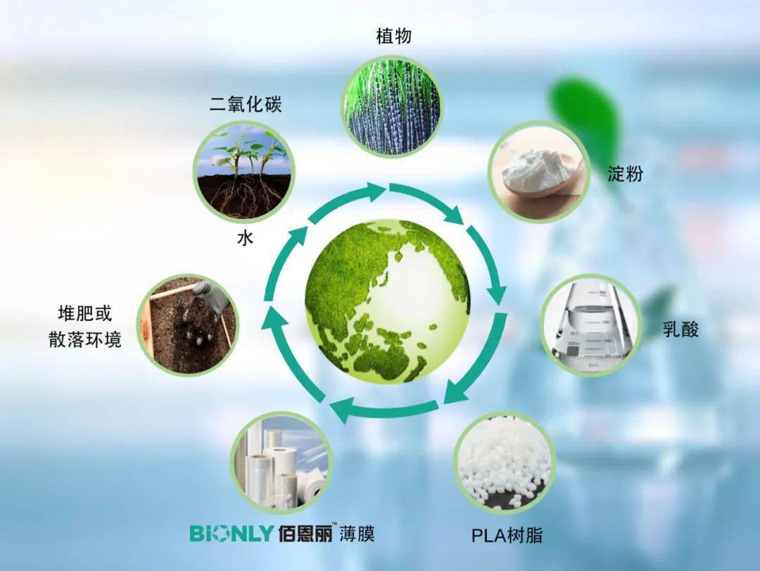 iPhone 13棄用傳統(tǒng)塑料膜，消費(fèi)電子包裝材料迎來升級換代